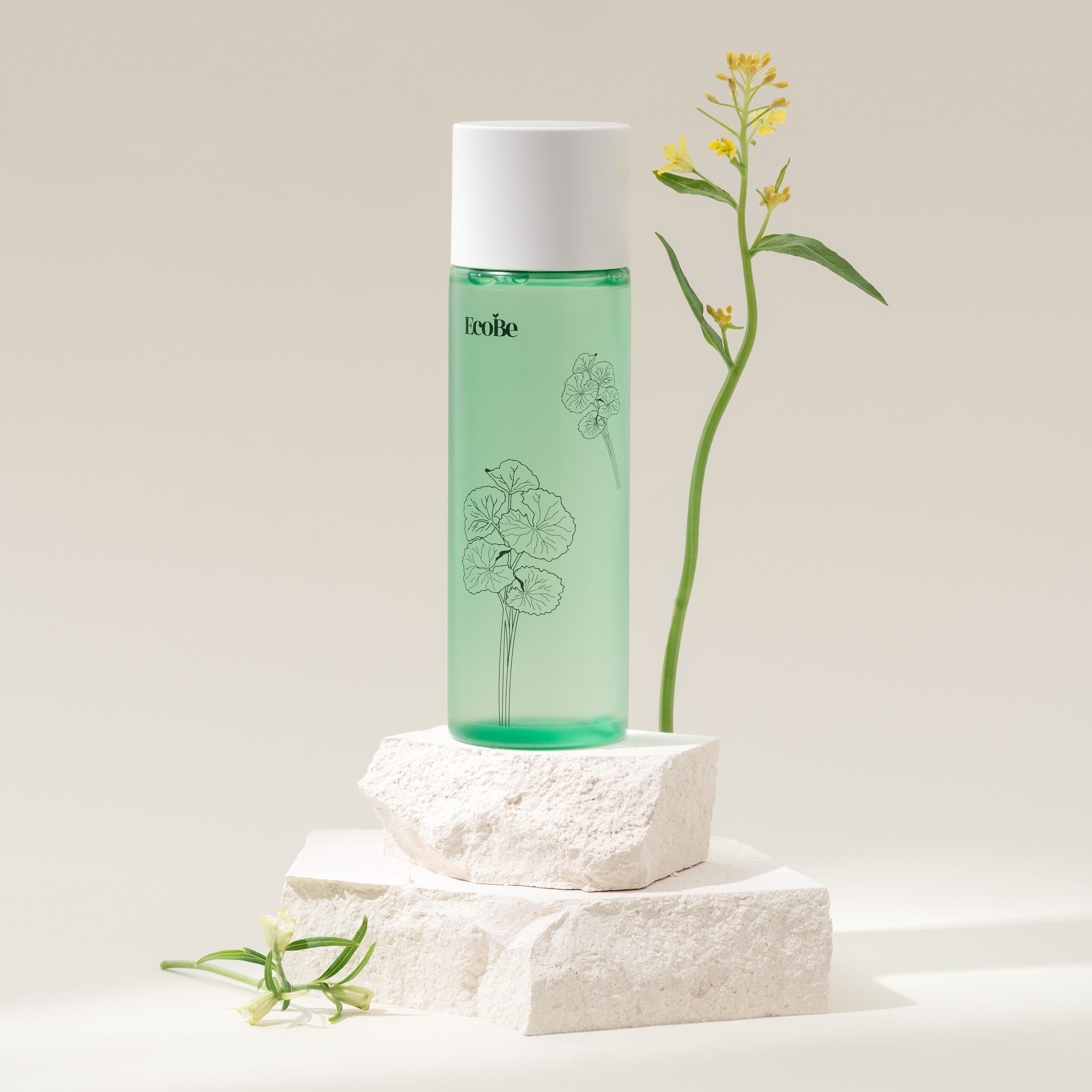 EcoBe Facial Toner with Centella Cica AHA/BHA - Koreancare