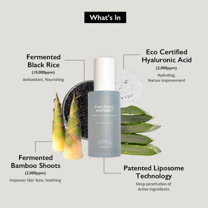 Haruharu Wonder WONDER Black Rice  Hyaluronic Essence 50ml - Koreancare