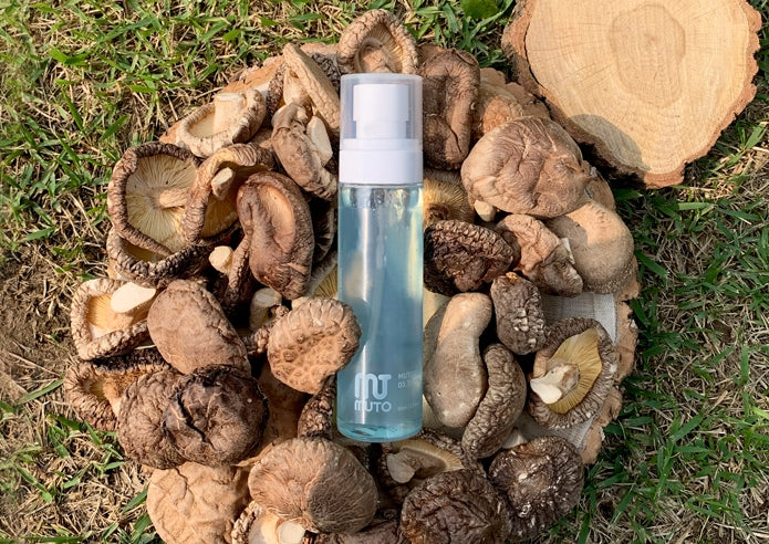BYEOLEE Muto White Truffle gel mist facial spray