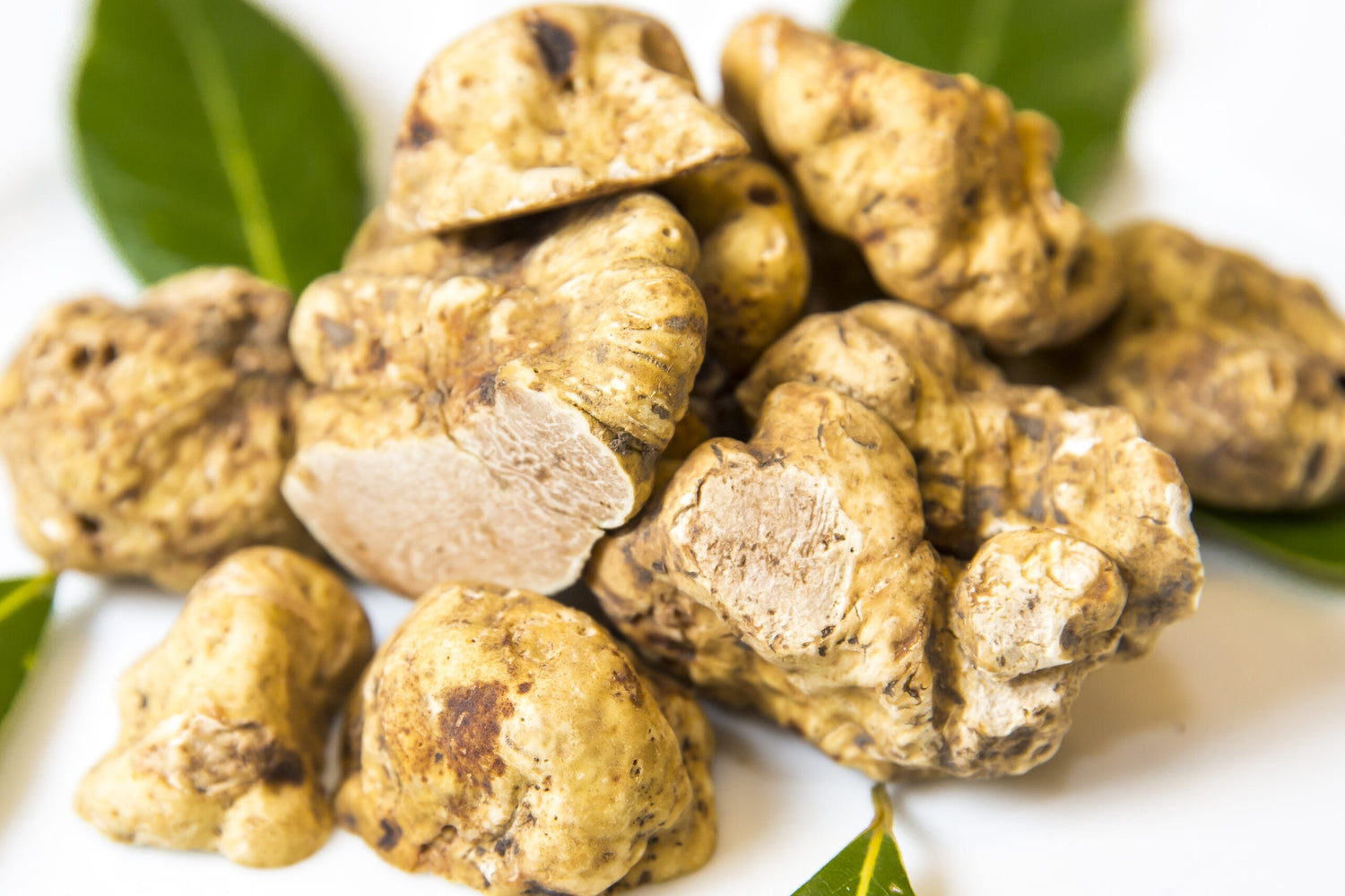 White truffle ingredient used in BYEOLEE Muto gel mist