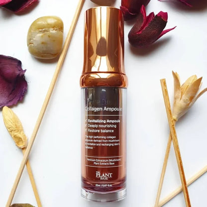 Ampoule collagen THE PLANT BASE – Time Stop Collagen Ampoule - Koreancare